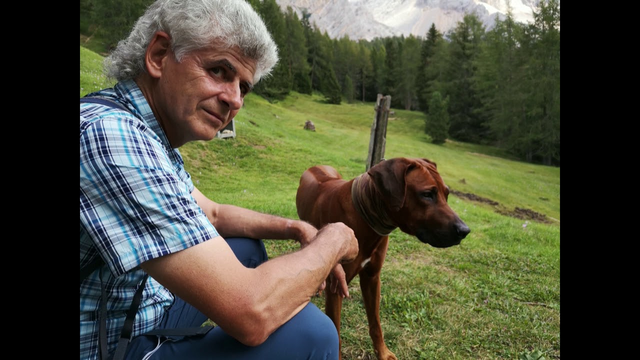 Die Rose von Südtirol