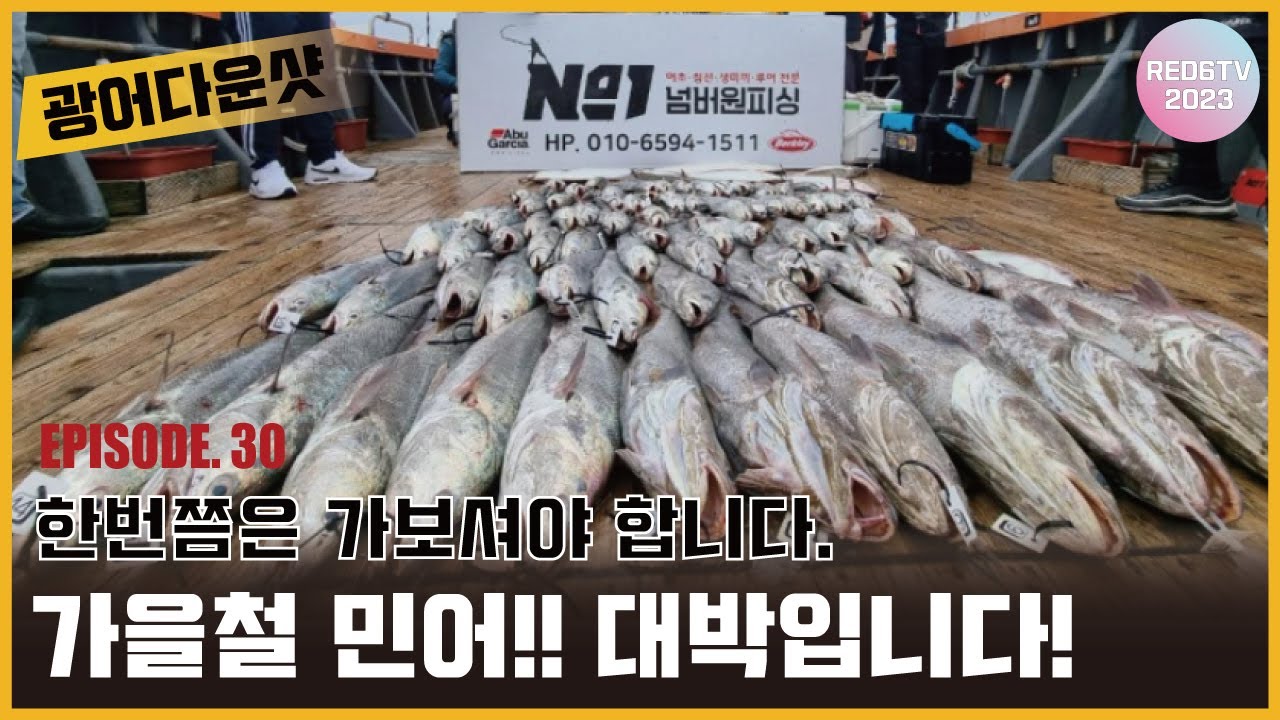 민어외수질 - 가을철 민어낚시!! 대박입니다!