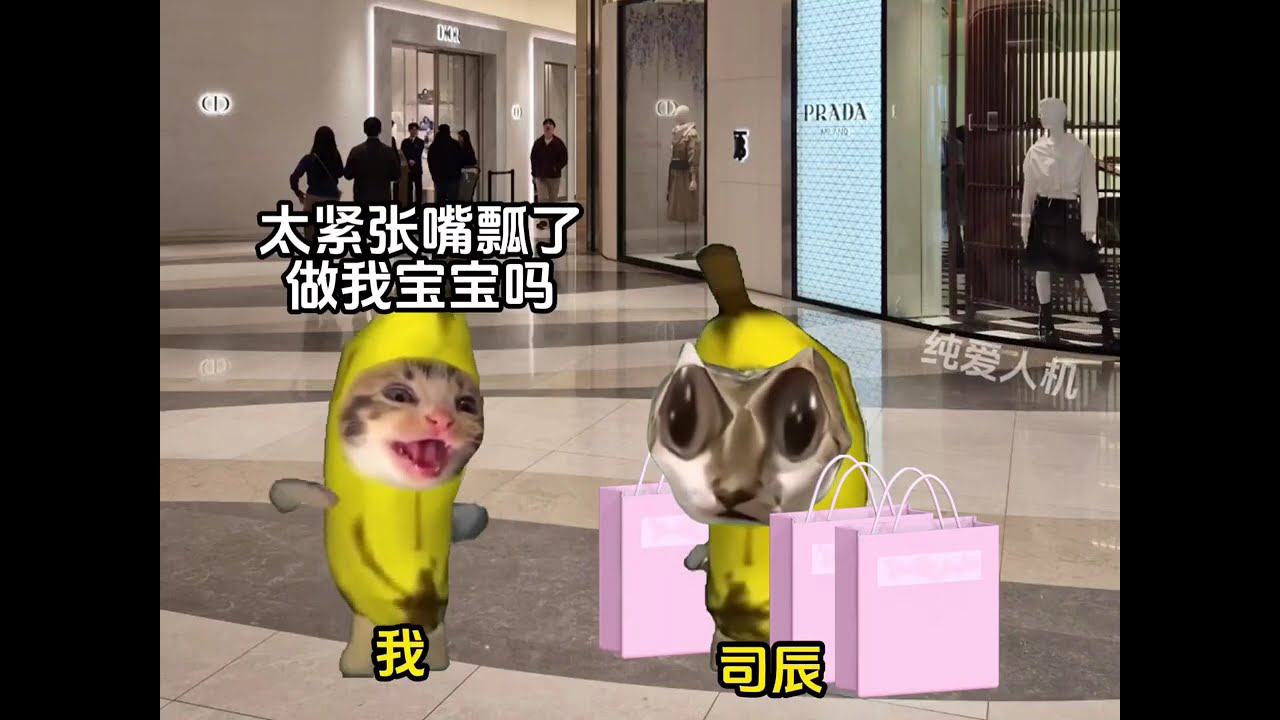 NPC杀了98个攻略者后 我穿越进来了 #猫meme #猫meme小故事 #猫meme小剧场