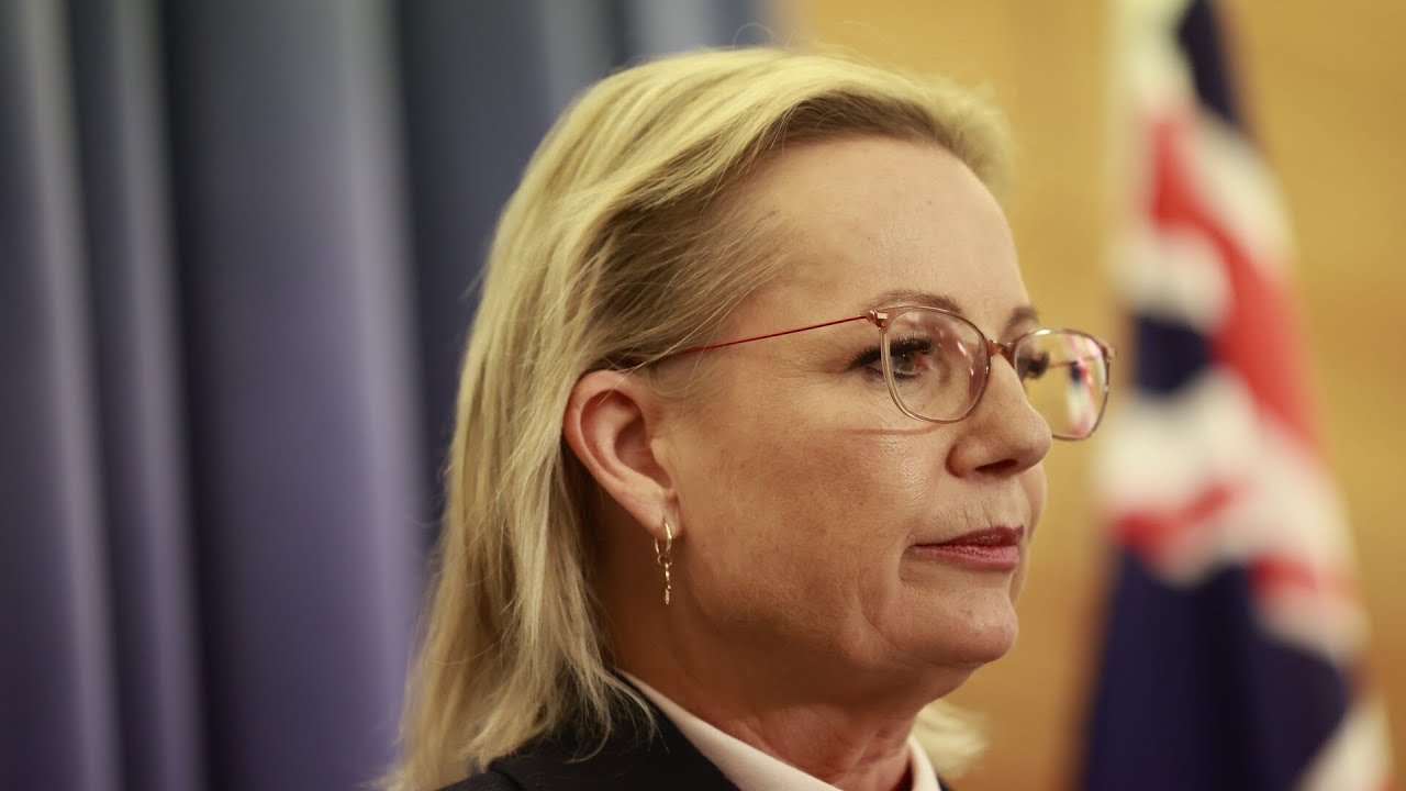 ‘Too far to the left’: Sussan Ley will ‘lose members’ due to political alignment