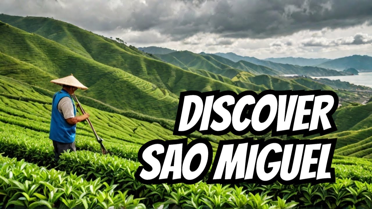 Sao Miguel, Azores - Furnas, Gorreana tea plantation & factory, N. island coast Oct/24