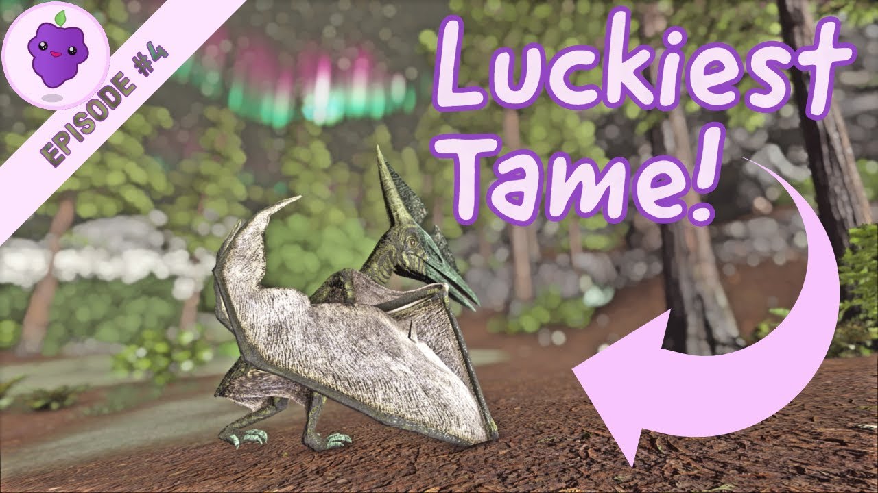 Best Tame! - Valguero Solo Small Tribes Ep.4!