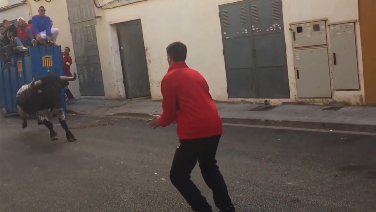 impresionante  toro capon pobla de farnals 30-1-2016
