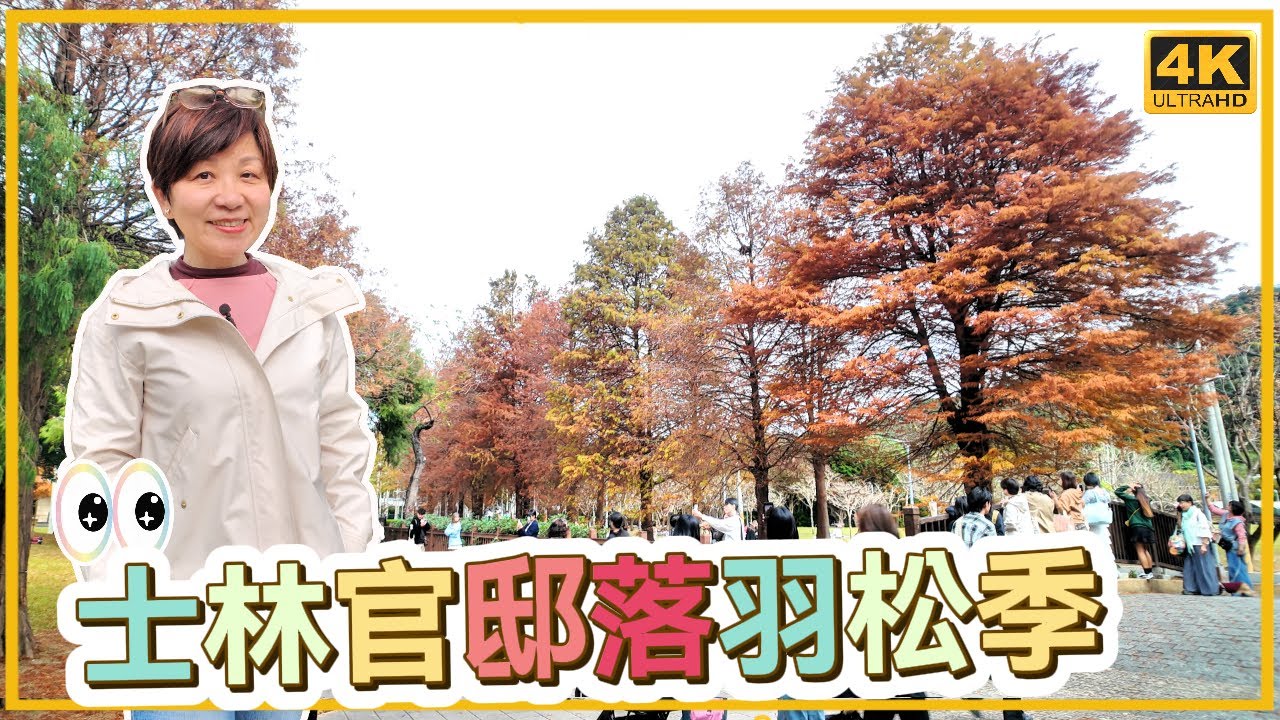 士林官邸公園｜美麗落羽松季｜還有玫瑰梅花可觀賞｜必拍亮點介紹｜台灣旅遊｜大仁哥大仁嫂愛旅行