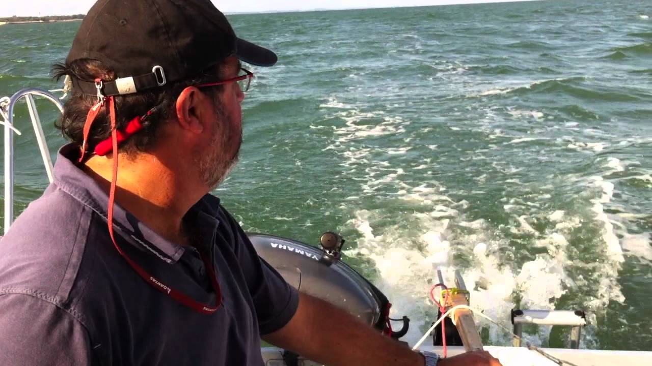 microsail dans les passes d'arcachon