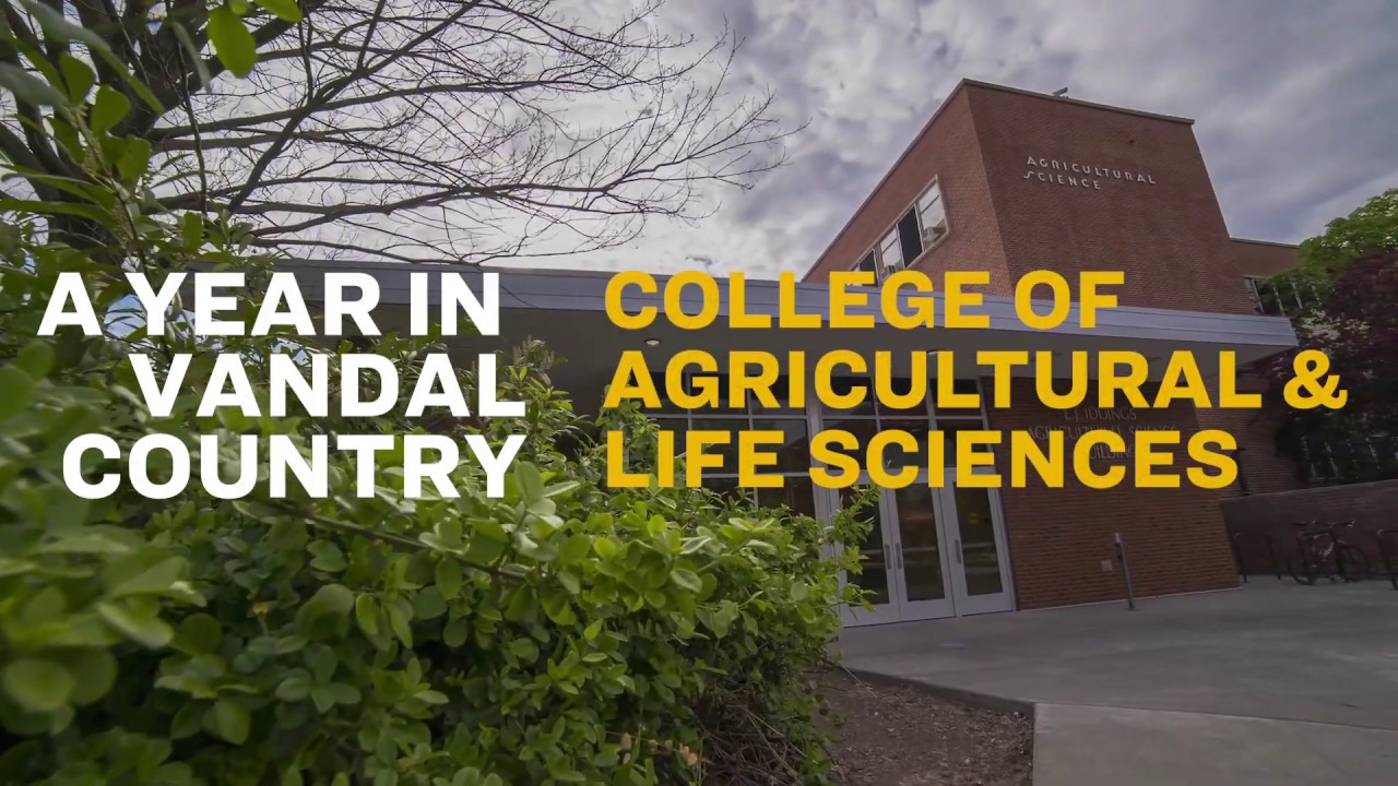 State of the University 2020 | College of Agricultural & Life Science