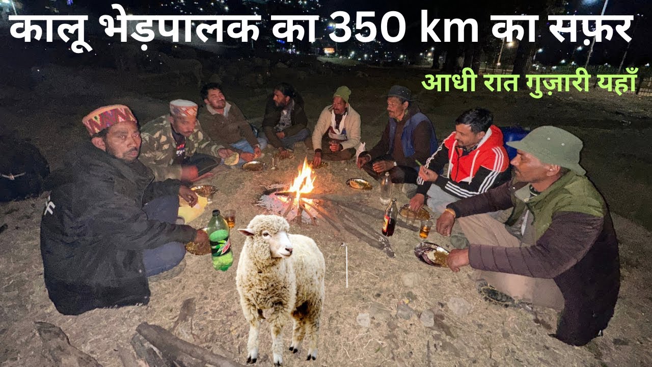 कालू भेड़पालक: अगले प्रवास की ओर सफ़र करते 😍अभी 350 km चलना है 😍यहाँ गुजारी आधी रात !