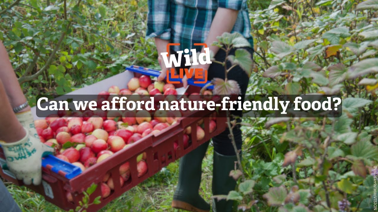 Wild LIVE: Can we afford nature-friendly food?