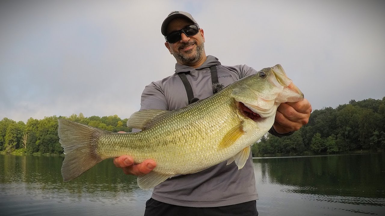 BASS EAT in the HEAT!!! (Summer Bass Fishing) Topwater/Drop Shot/Neko Rig