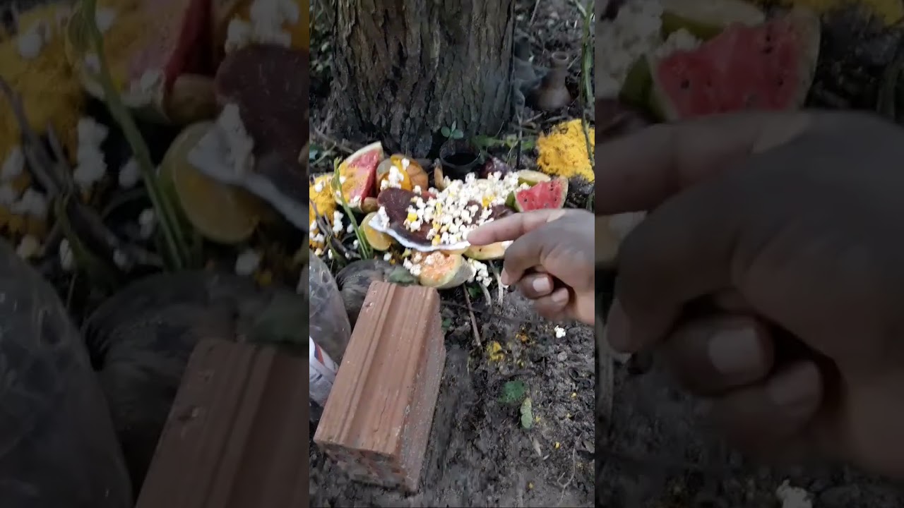 Kimbanda F&eacute; Amor QUIMBANDA O QUE VOC&Ecirc; PRECISA Deluca Natal Jurema Sagrada Umbanda Macumba Candombl&eacute;