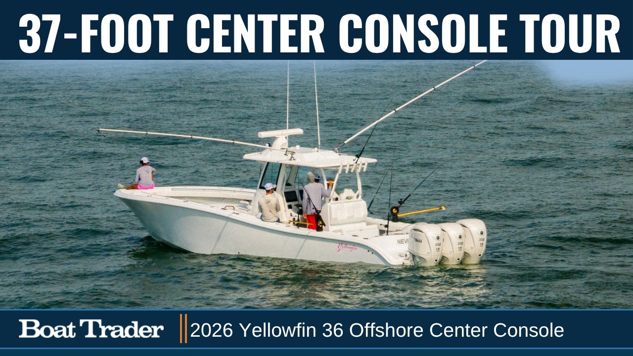 PYYyellowfin36
