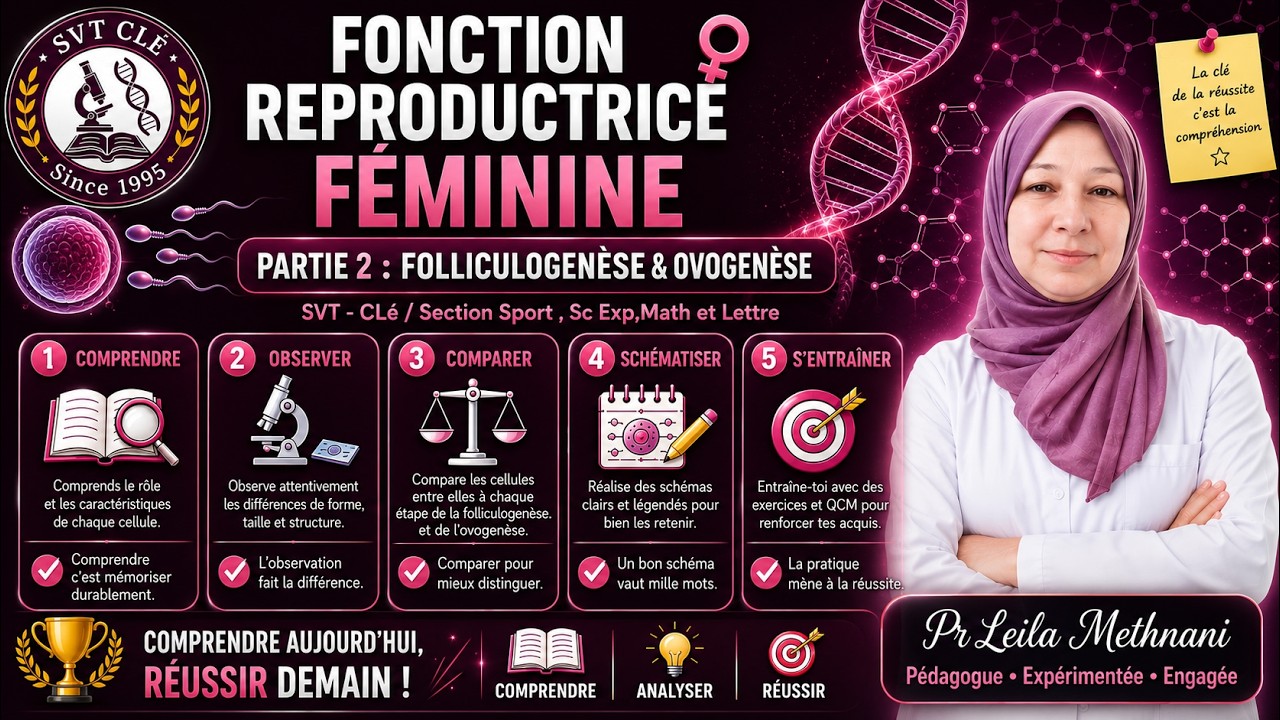 Fonction reproductrice féminine – Partie 2 : Folliculogenèse & Ovogenèse