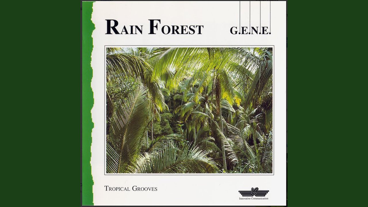 Rain Forest