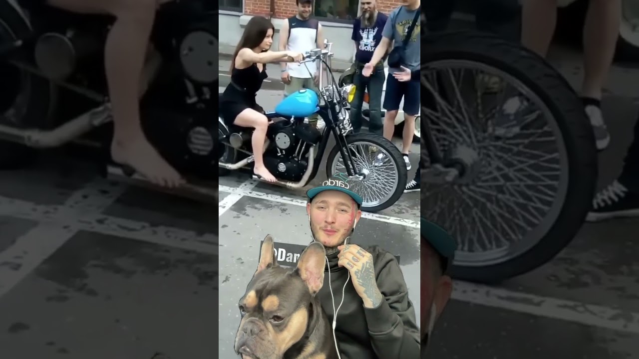 BIKER GIRL CRASHES HARLEY - who&rsquo;s to blame? #harleydavidson #bikergirl #harleycrash #crash #reacts