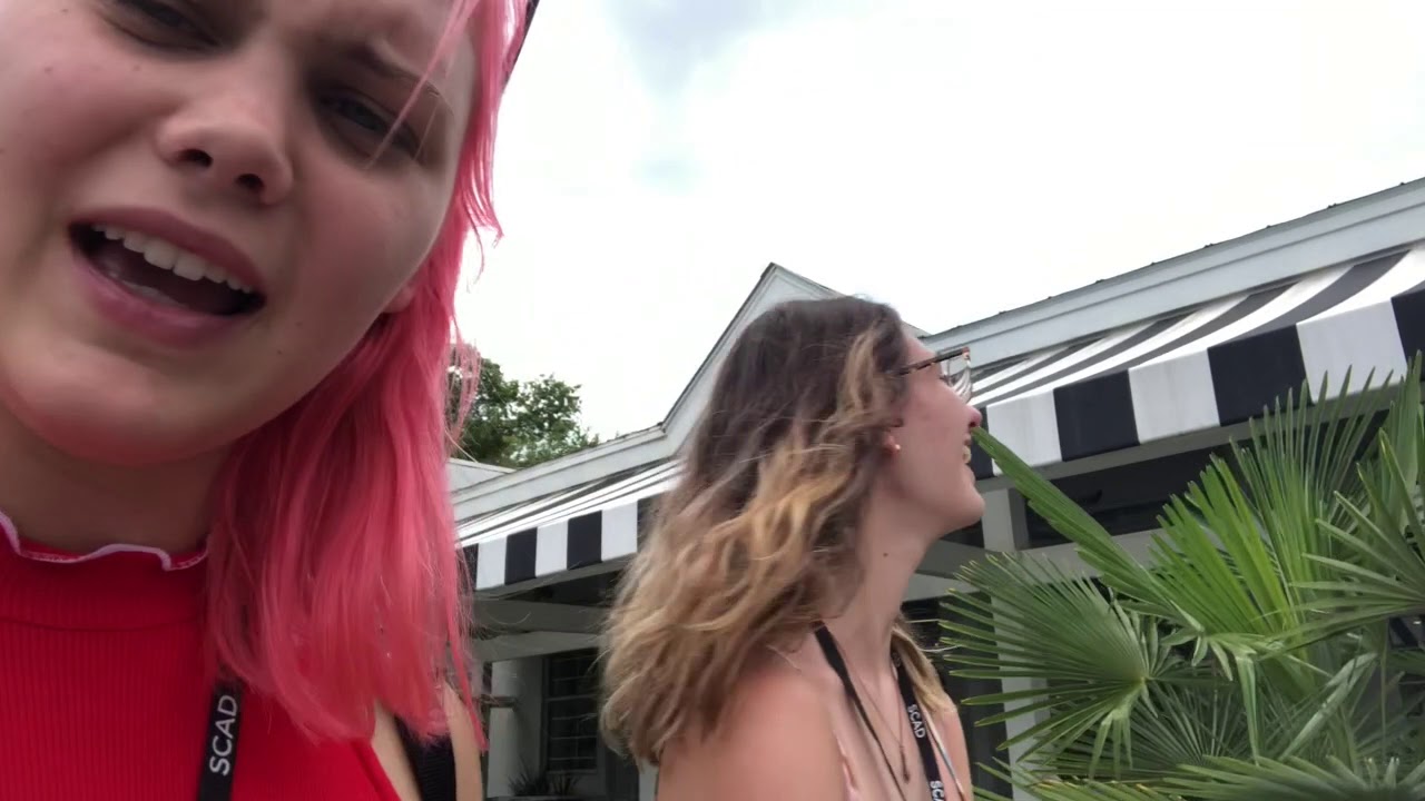 Summer Swarm 2019 Vlog