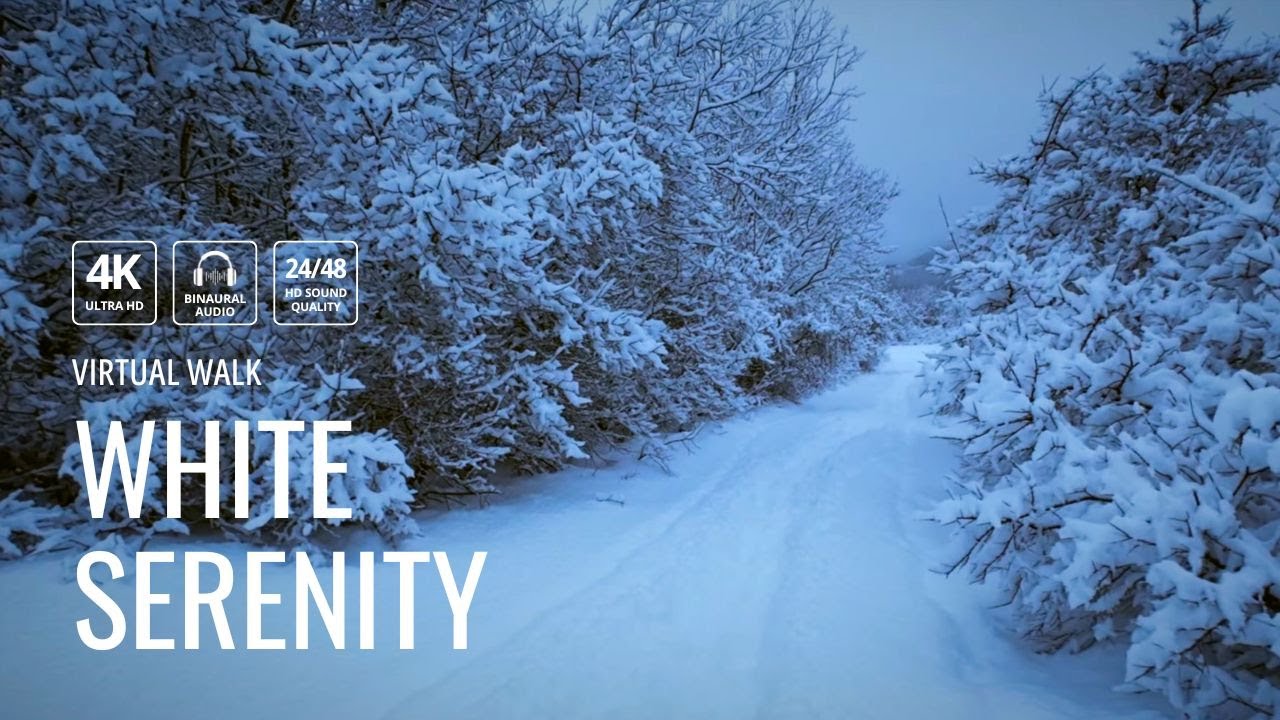 Winter Norway | A walk on a path in Trøndelag ❄️🌨️
