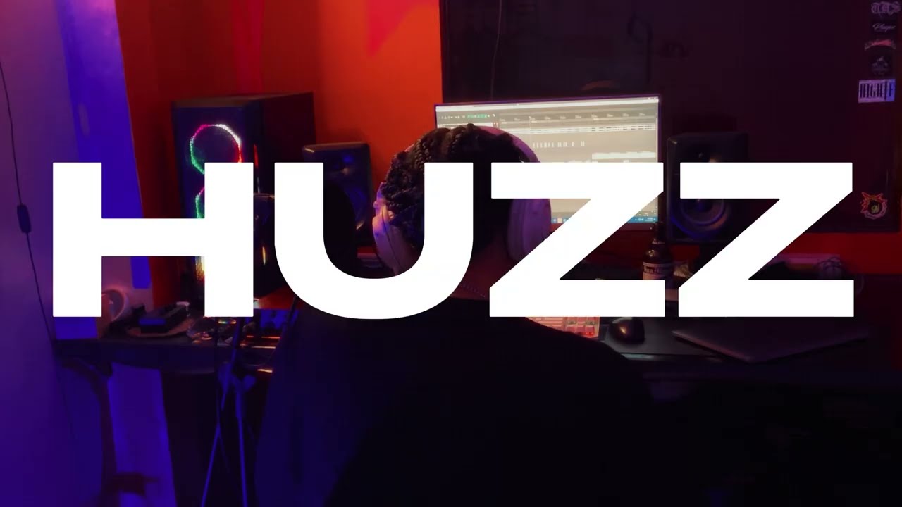Huzz Check (Visualizer)