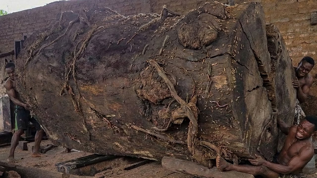 No Room for Mistakes Cutting a Monster Trembesi Log in an Extreme Sawmill