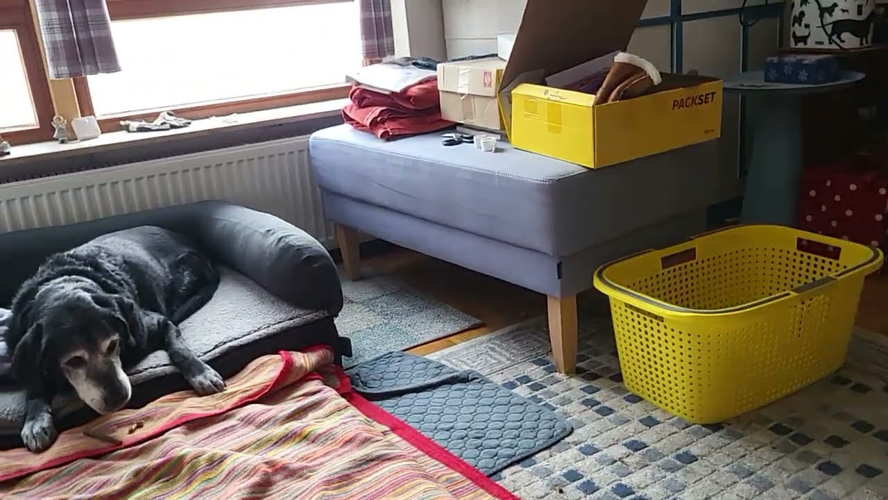 Dona war schon auf Mittagsrunde 20.1.26