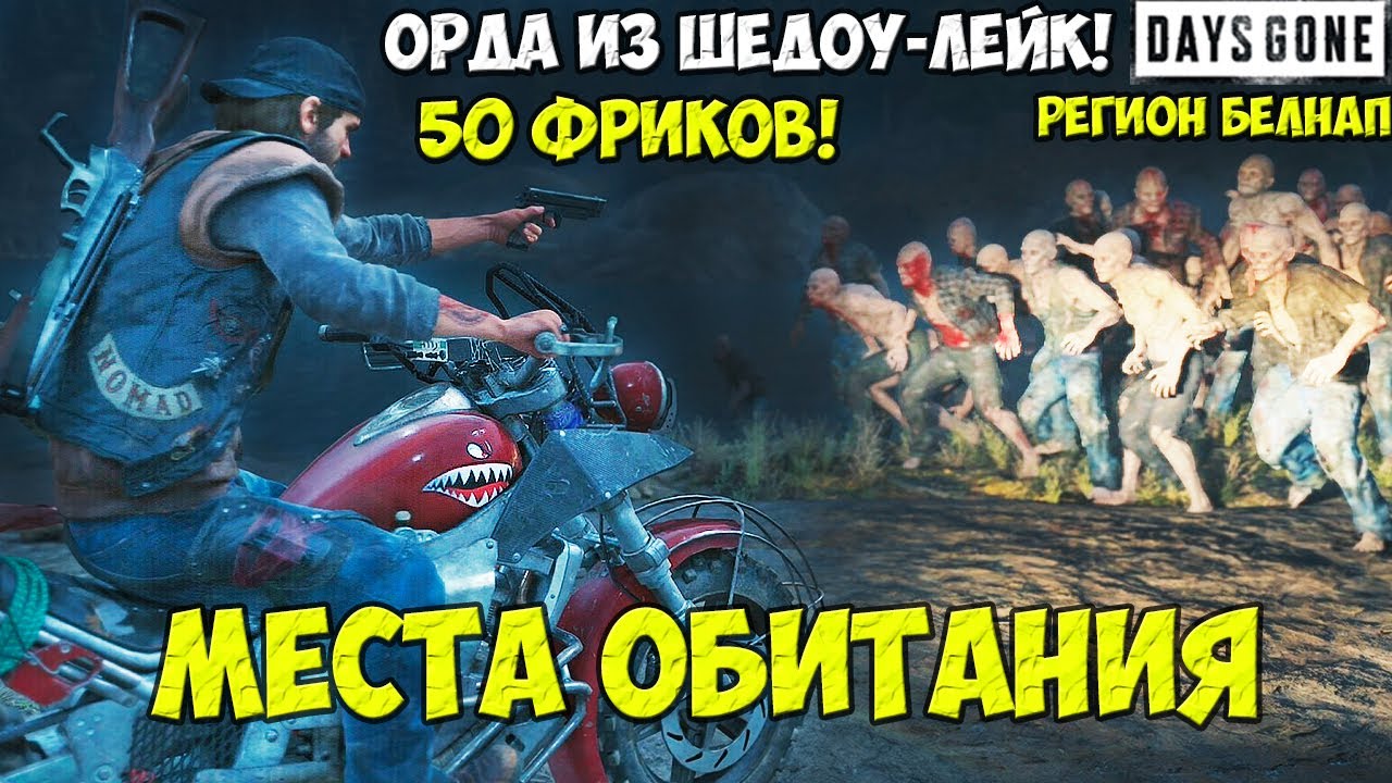 Орда из Шедоу-Лейк(Shadow Lake Horde). 50 Фриков. Белнап. Места обитания.  #daysgone #horde #shadow