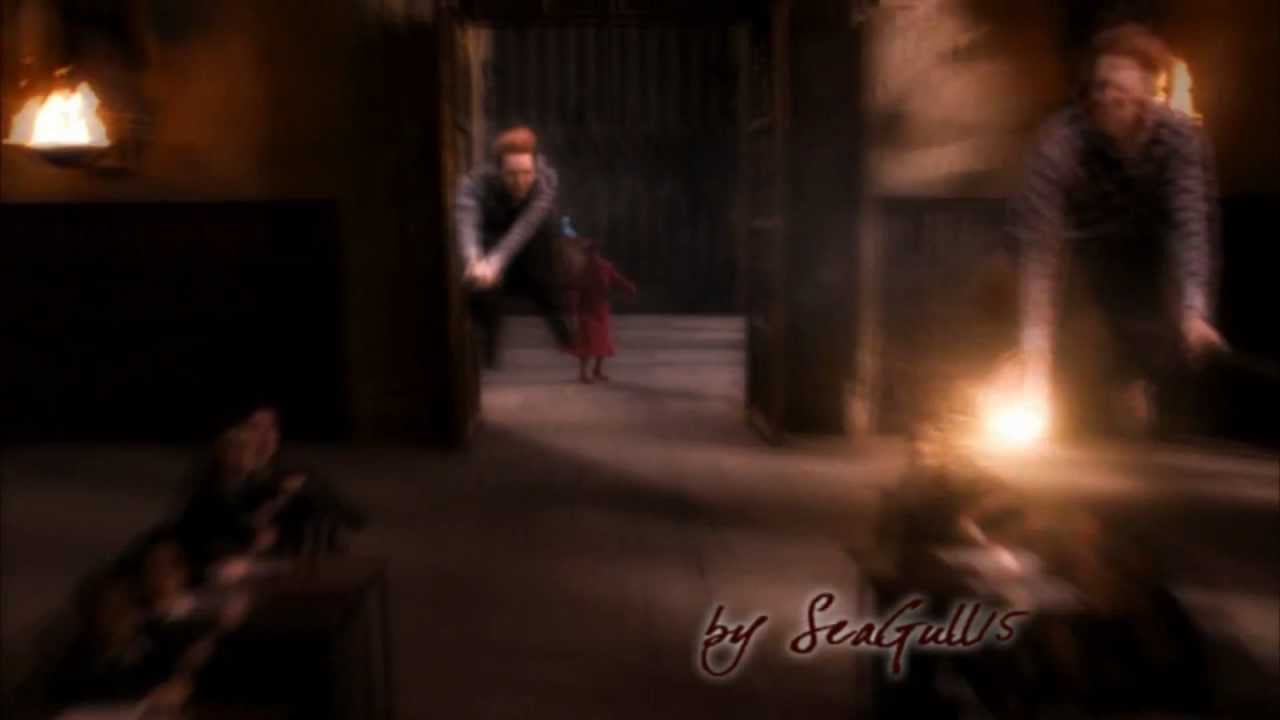 Harry Potter, Severus Snape and brothers Weasley VS Umbridge