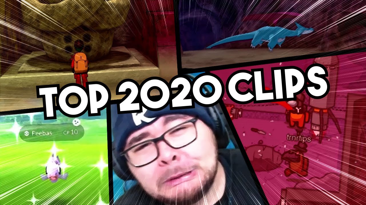 The BEST 2020 Reversal Clips!
