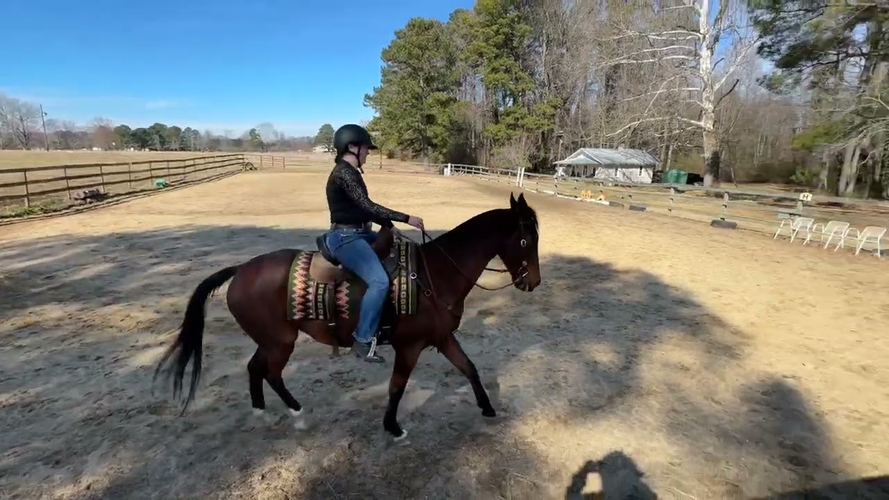 Aurora DeLuca/Silverhill Kostyor Janssen Dressage Feb 26 WD Basic 3