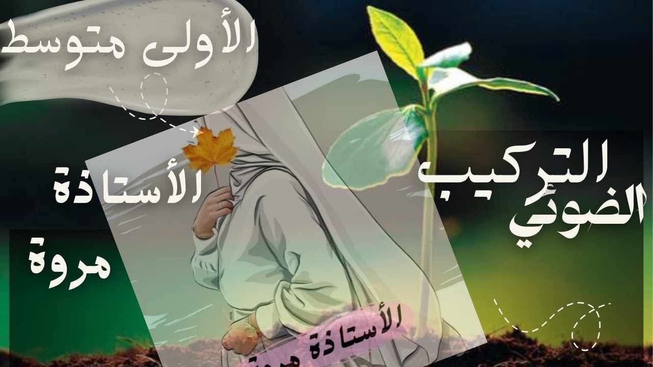 شرح بسيييط و سهل للتركيب الضوئي عند النبات الأخضر 🌿🌳 مع #الأستاذة-مروة 
