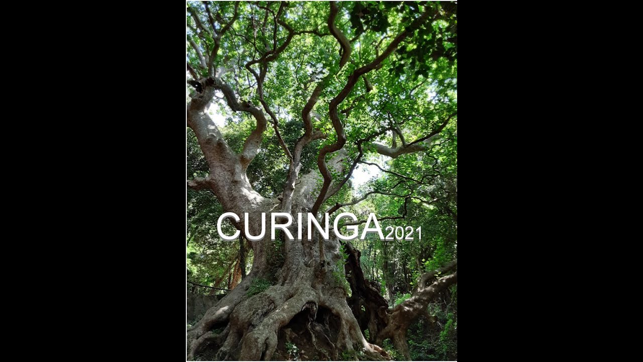 Calabria Avventura  2021 -  CURINGA  (CZ)