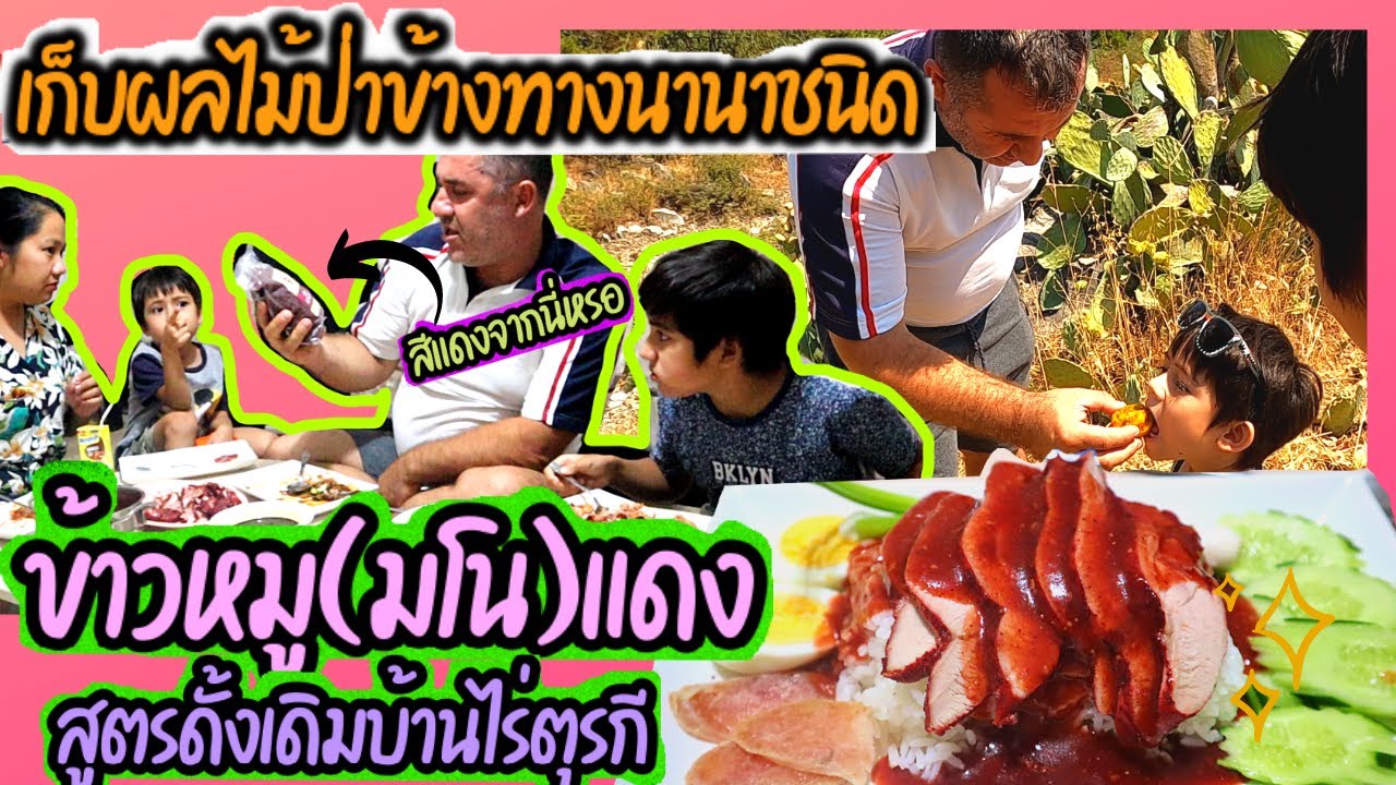 EP.183 สามีพาเก็บผลไม้ป่าข้างทางหลากชนิดเยอะมากๆ วันนี้ทำเมนู