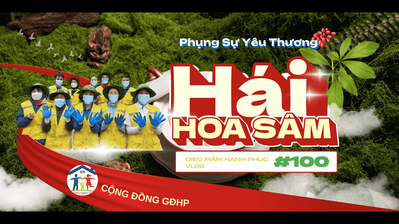 GĐHP | Cánh Đồng Hoa Sâm - Gieo Mầm Hạnh Phúc
