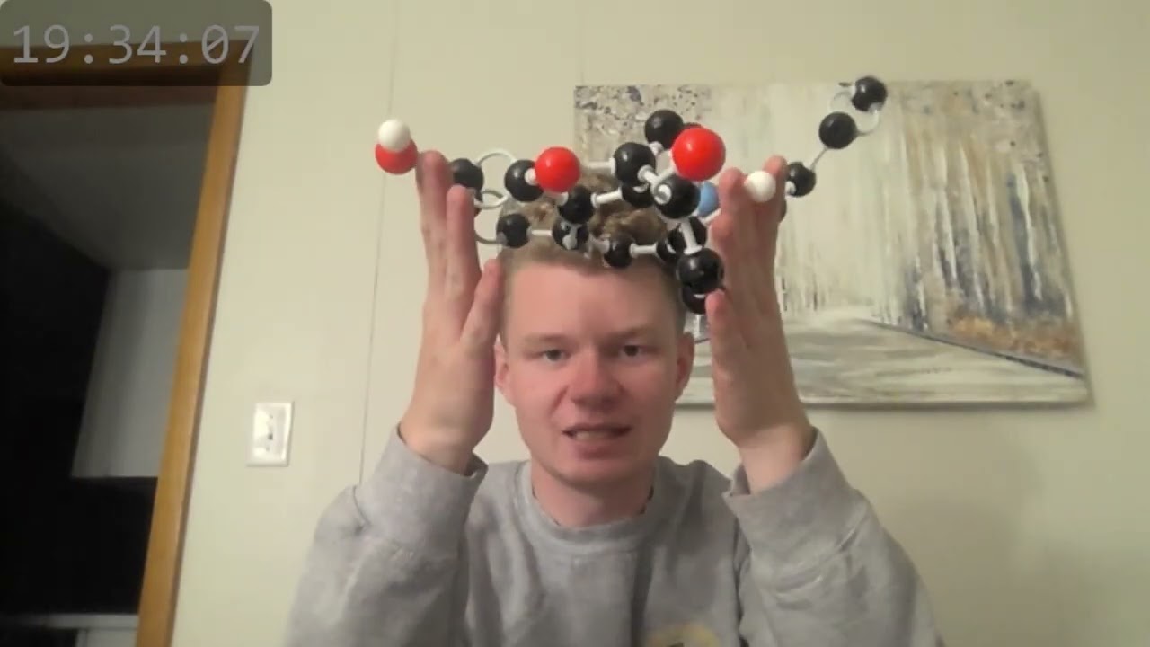 Opioid Agonist Model
