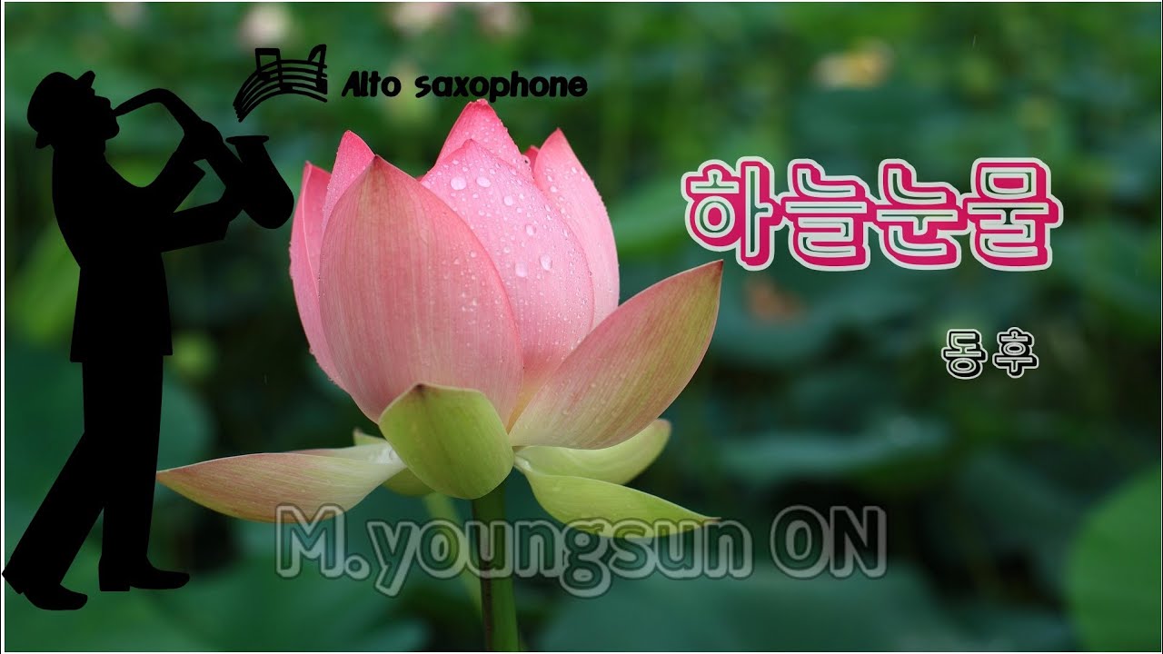 하늘눈물(동후) 원곡가수 동후 신청곡 입니다. Alto Sax. Cover