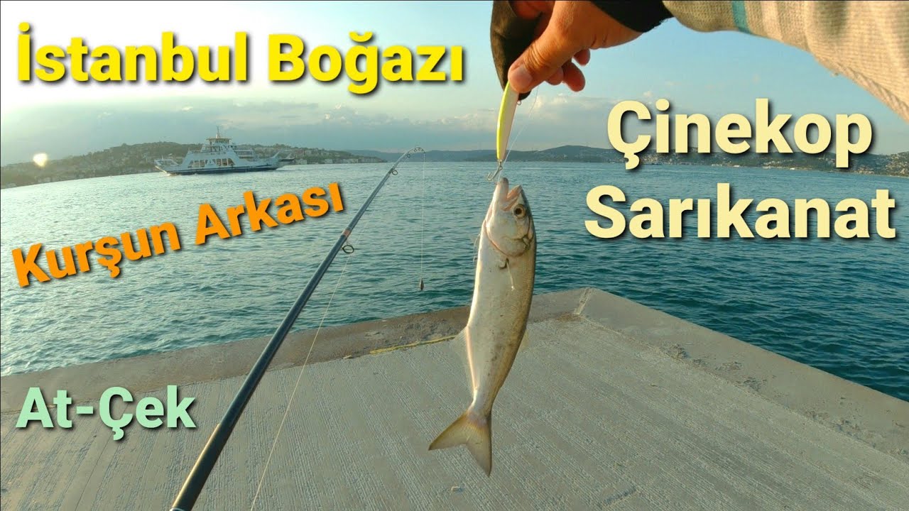 Haziran 2021 - Boğaz'da Çinekop | Sarıkanat | Lüfer | Kurşun Arkası At-Çek Avı Nasıl Yapılır?