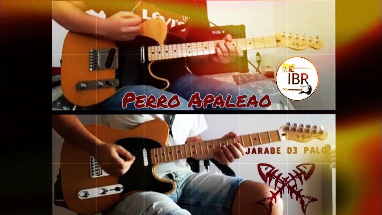 Perro Apaleao - Jarabe de Palo Cover Guitarras