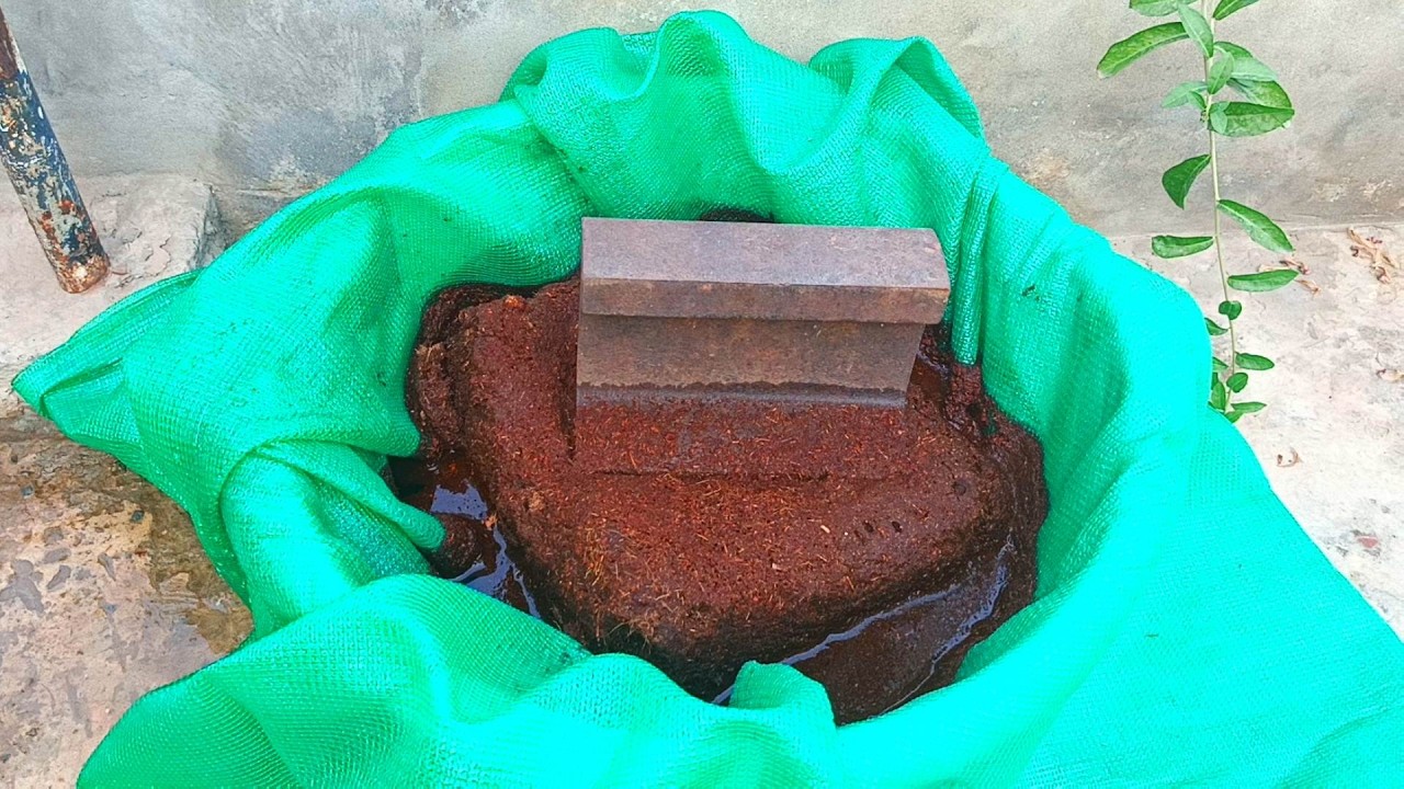 Remove Chemicals and Glue from Cocopeat | It is Important to Wash the Cocopeat