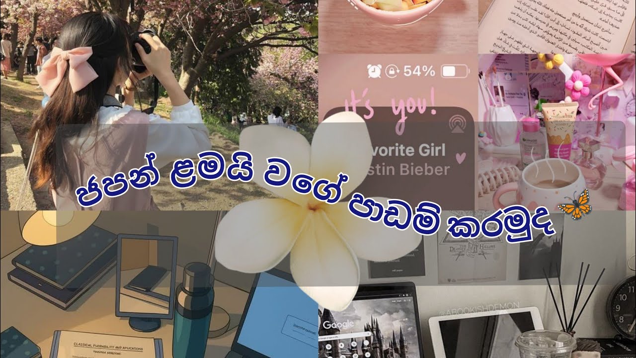 ජපන් ළමයි වගේ  පාඩම් වැඩ කරමුද 🦋 #foryou #motivation #knowledge #study #education #studytips 