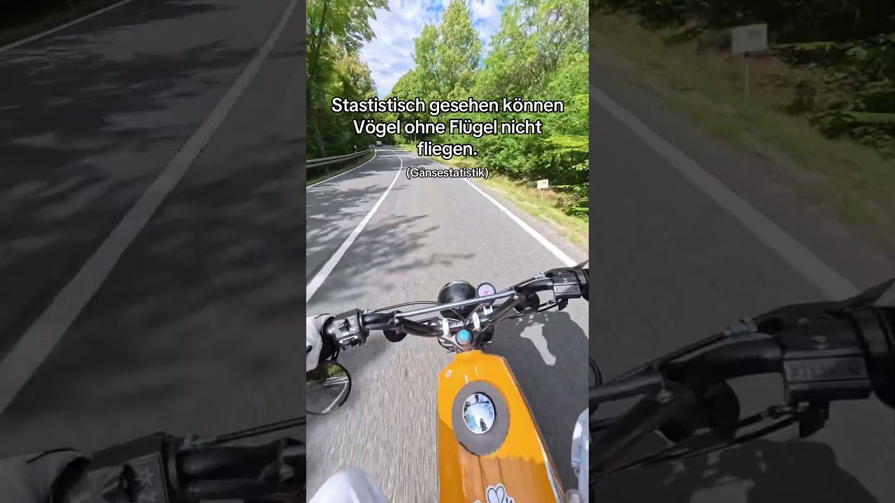 Au&szlig;er Piguine !  #simson #simsonliebe #simsons50