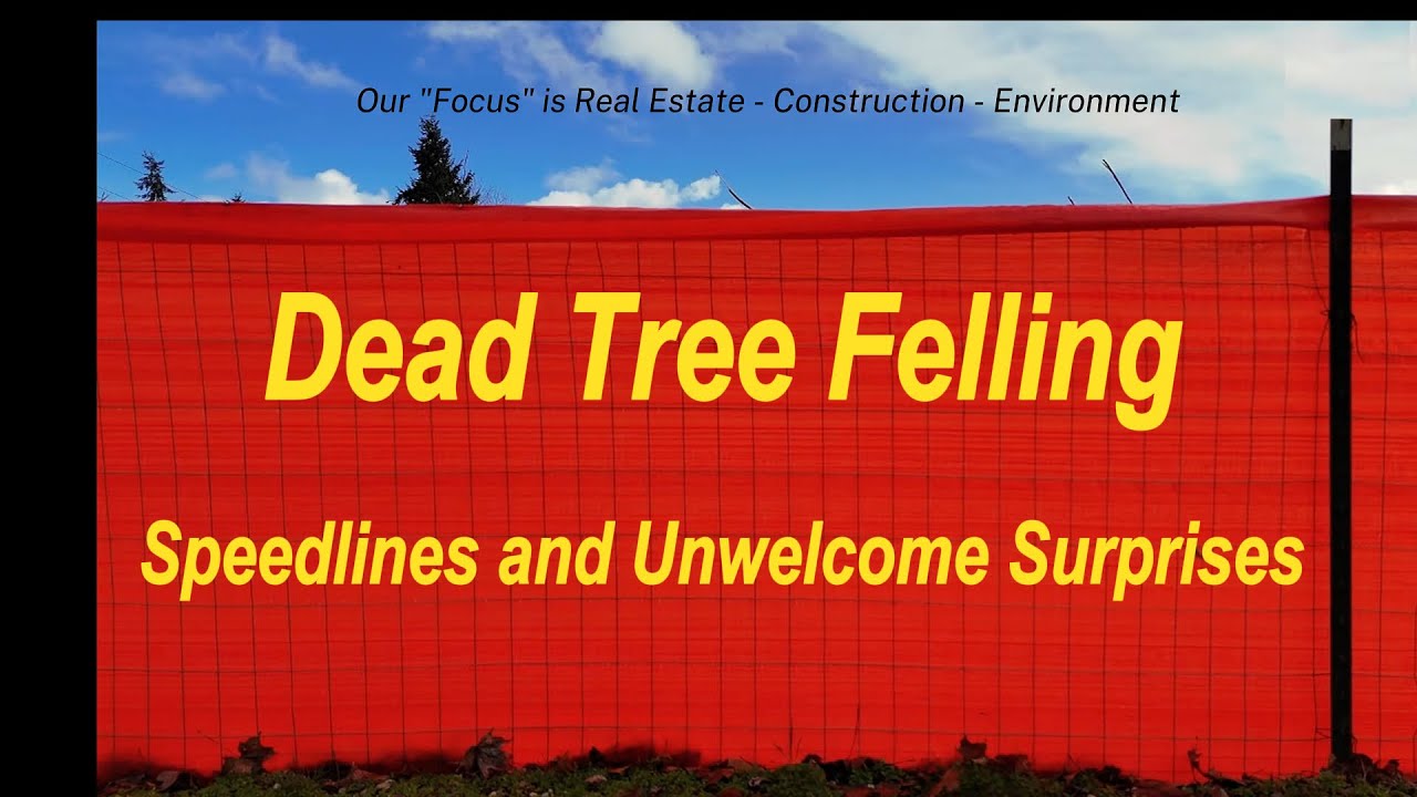 Dead Tree Felling - Speedline and a Painful Surprise