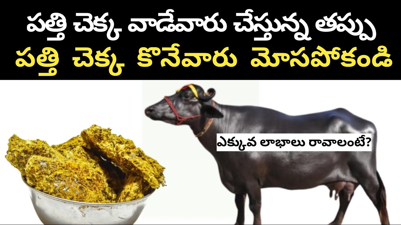 పత్తి చెక్క ఏ విధంగా వాడుకుంటే మంచిది. పత్తి చెక్క కొనేవారు ఏ విధంగా మోసపోతారు Cotton seed cake