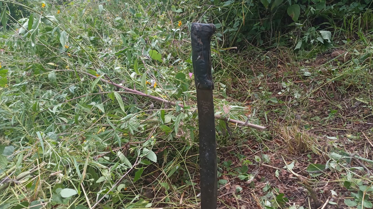 Así se corta hierba o maleza con machete en el campo #suscríbete