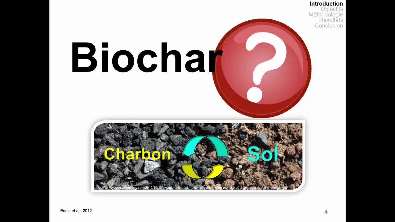 L'effet des biochars sur les rendements de la tomate et du poivron de serre