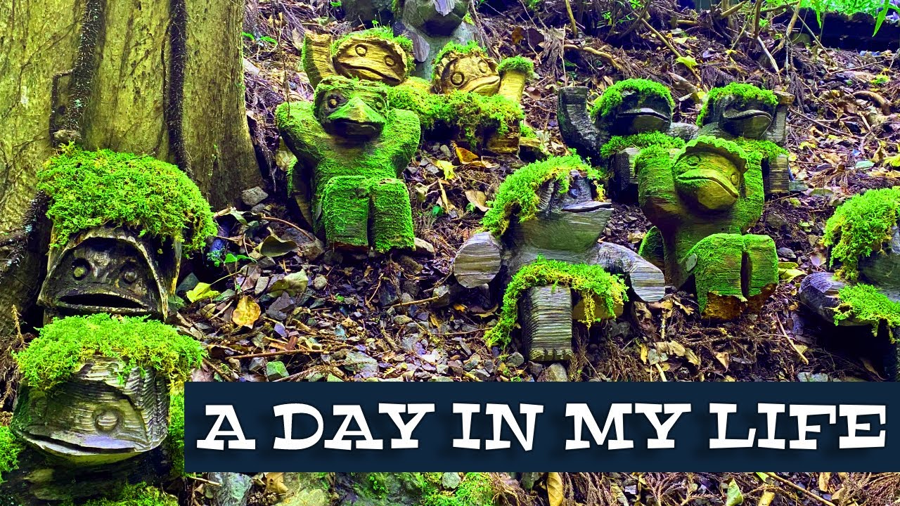 A Day in the Life of a JET Programme ALT | Kochi Prefecture