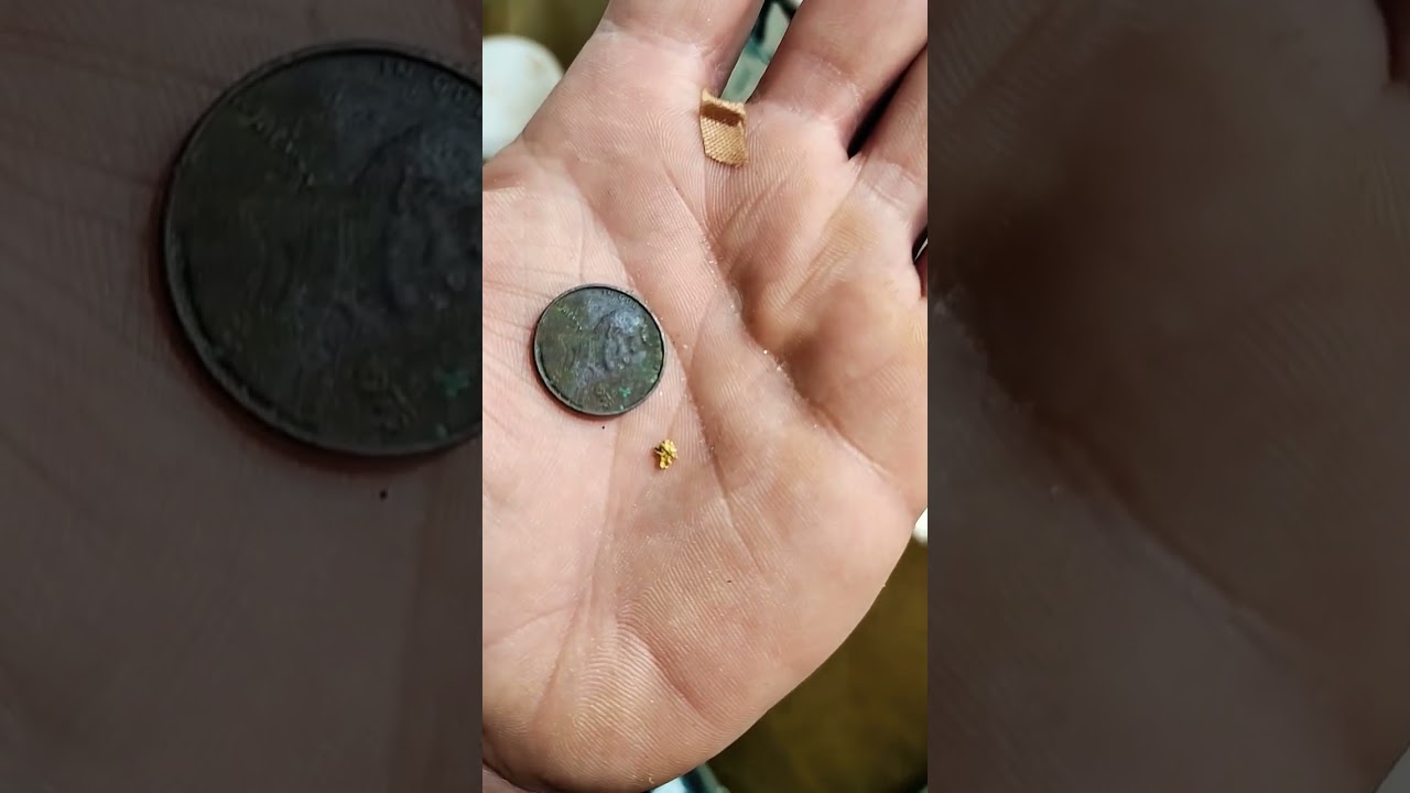 Nice Picker! 👀😳 #Shorts #GoldPicker #GoldSluicin