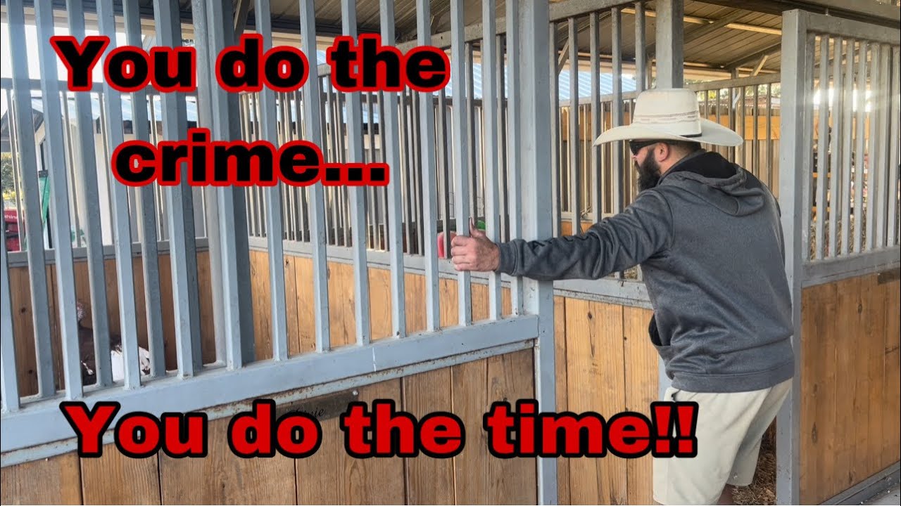 Showing him who’s BOSS!