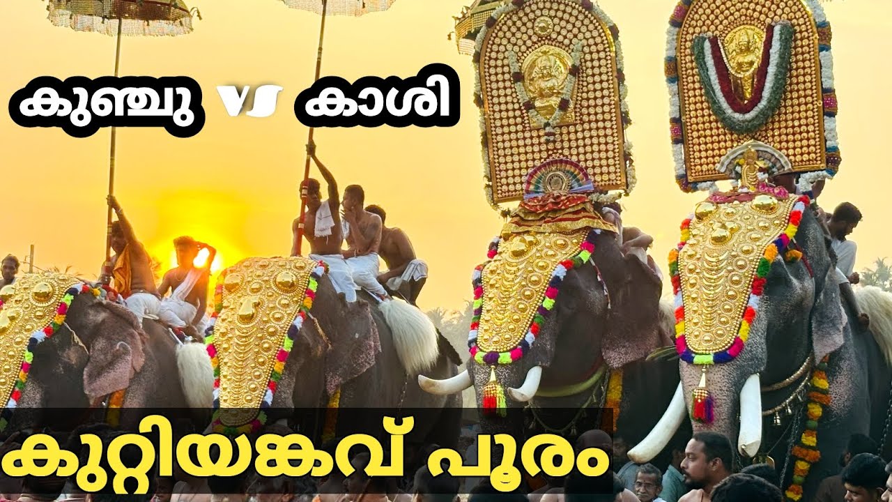 ശ്രീ കുറ്റിയങ്കവ് പൂരം 2025 ഊക്കൻസ് കുഞ്ചു vs പാറമേക്കാവ് കാശിനാഥൻ| KUTTIYANKAVU POORAM 2025