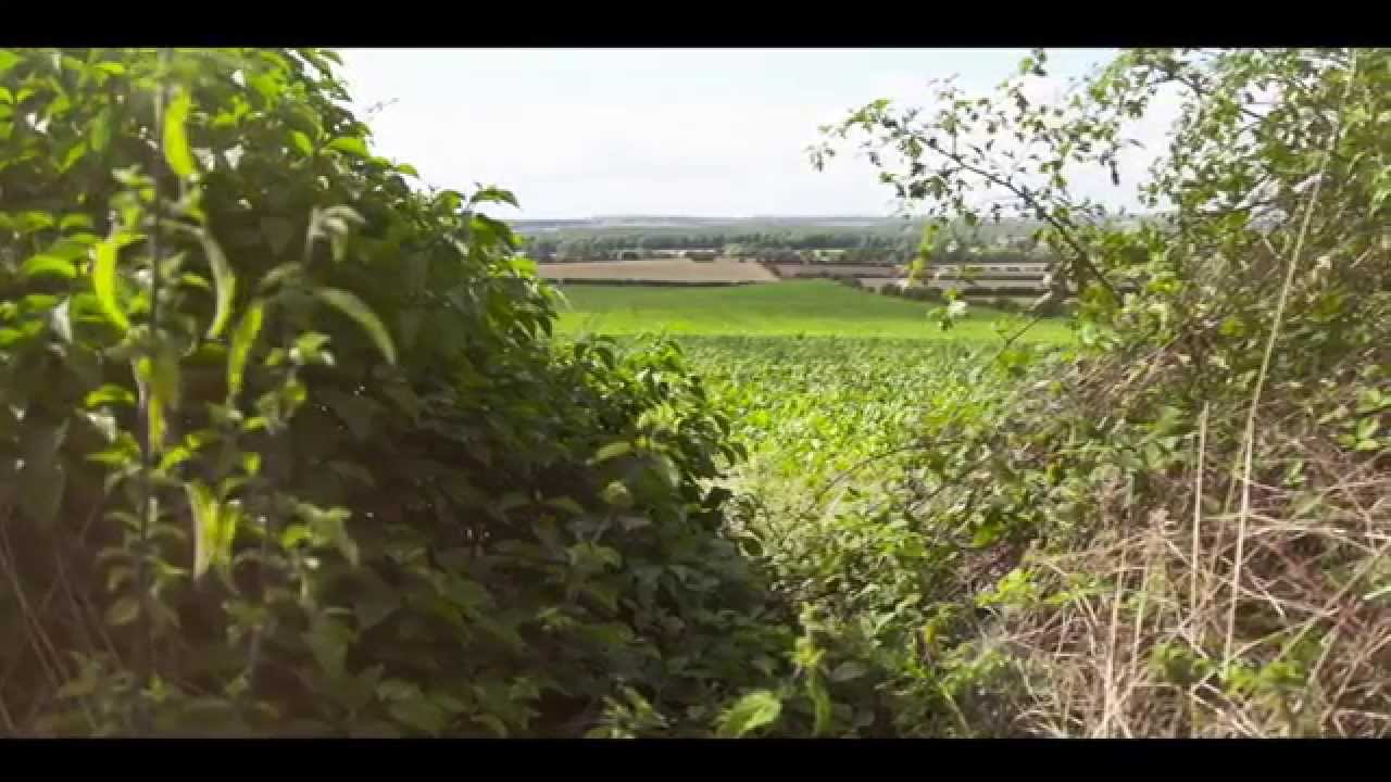 H2AD Micro AD - Harvesting nature for Biogas & Biofertiliser