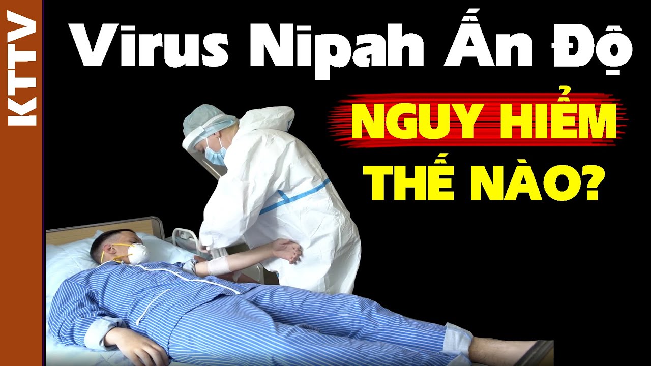 Virus Nipah là gì? Tại sao hàng loạt quốc gia khẩn cấp phản ứng?