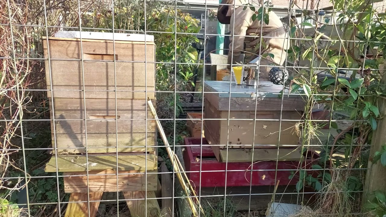 De bijenvolken krapper zetten – zo doe ik dat 🐝🍂