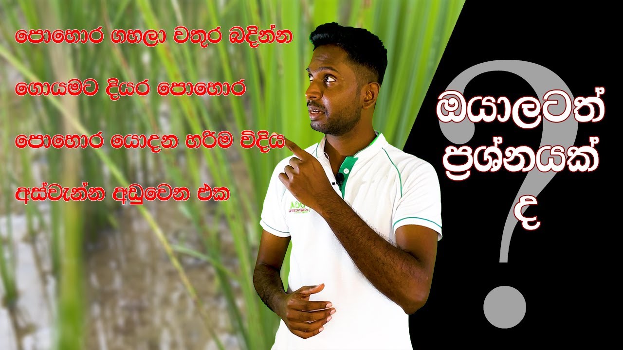 ඔයාලටත් මේ වගේ ගැටළු තියනවද?